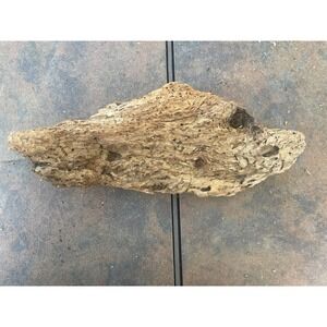 Natural Driftwood for Plants Terrarium Taxidermy Art Projects